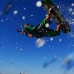 flyboards-shot